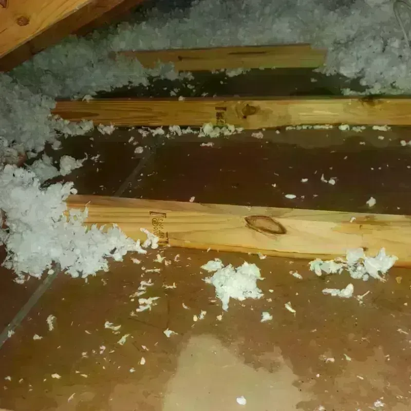 Attic Water Damage in Del Rio, TX