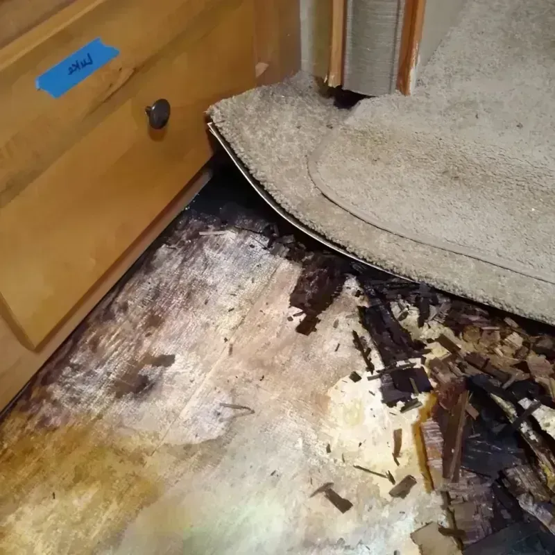 Wood Floor Water Damage in Del Rio, TX